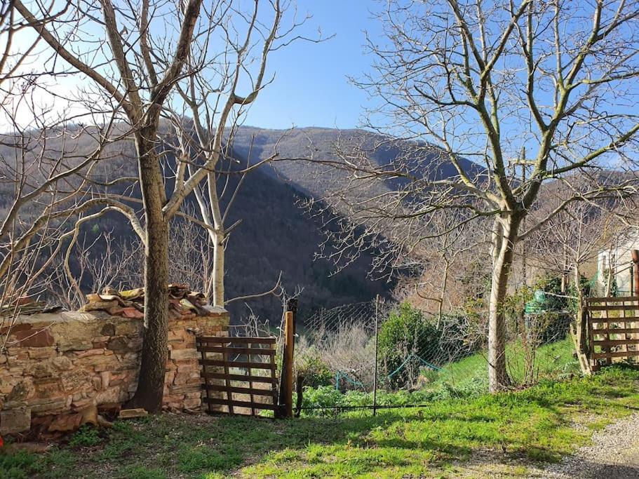 La Quiete Tra Le Montagne Apartment Apiro Ngoại thất bức ảnh